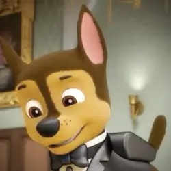 Tuxedo Chase>>