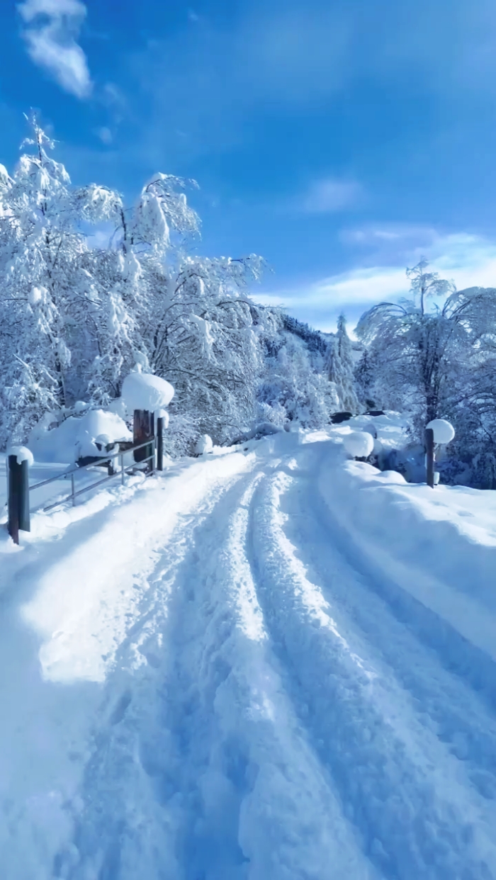 Neige partout