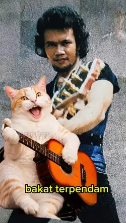 kucing lucu