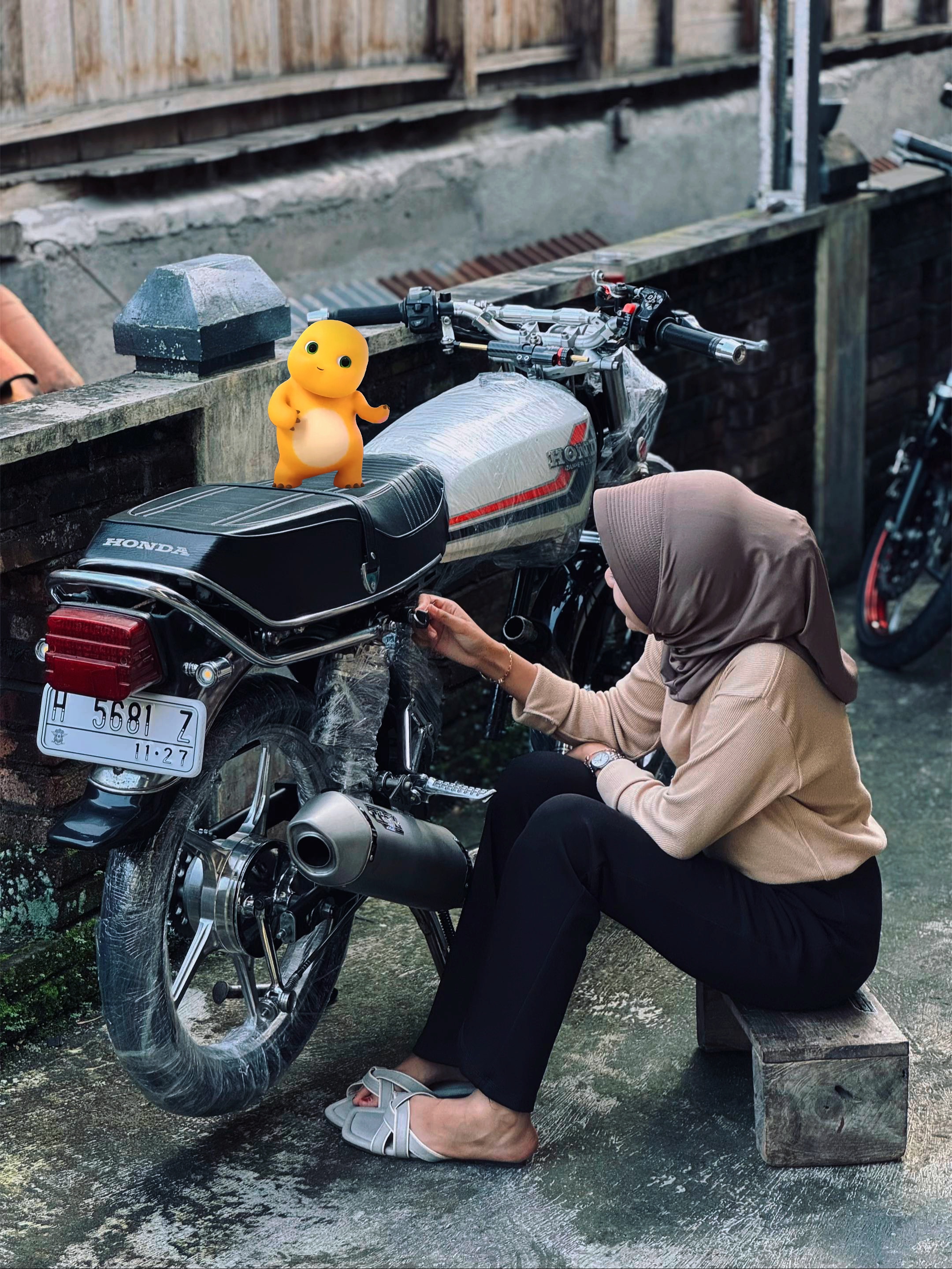 Cover Picture