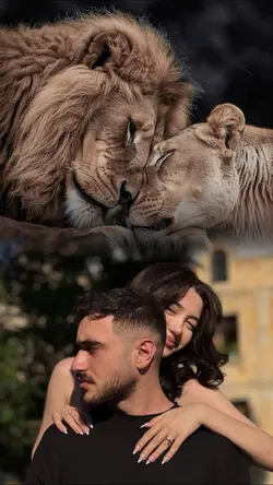 Trend Çift Şablonu