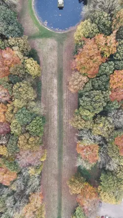 Natural Video zoom 