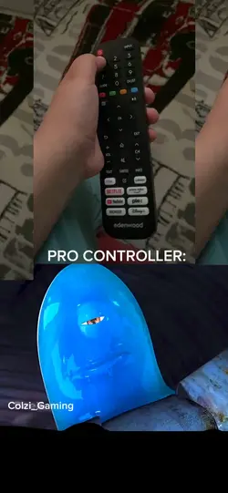 Bro pro controller 💀