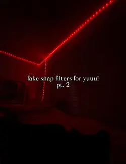 fake filters pt.2
