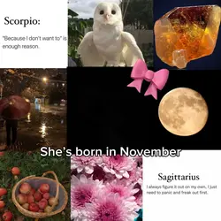 November baby🍁🎀