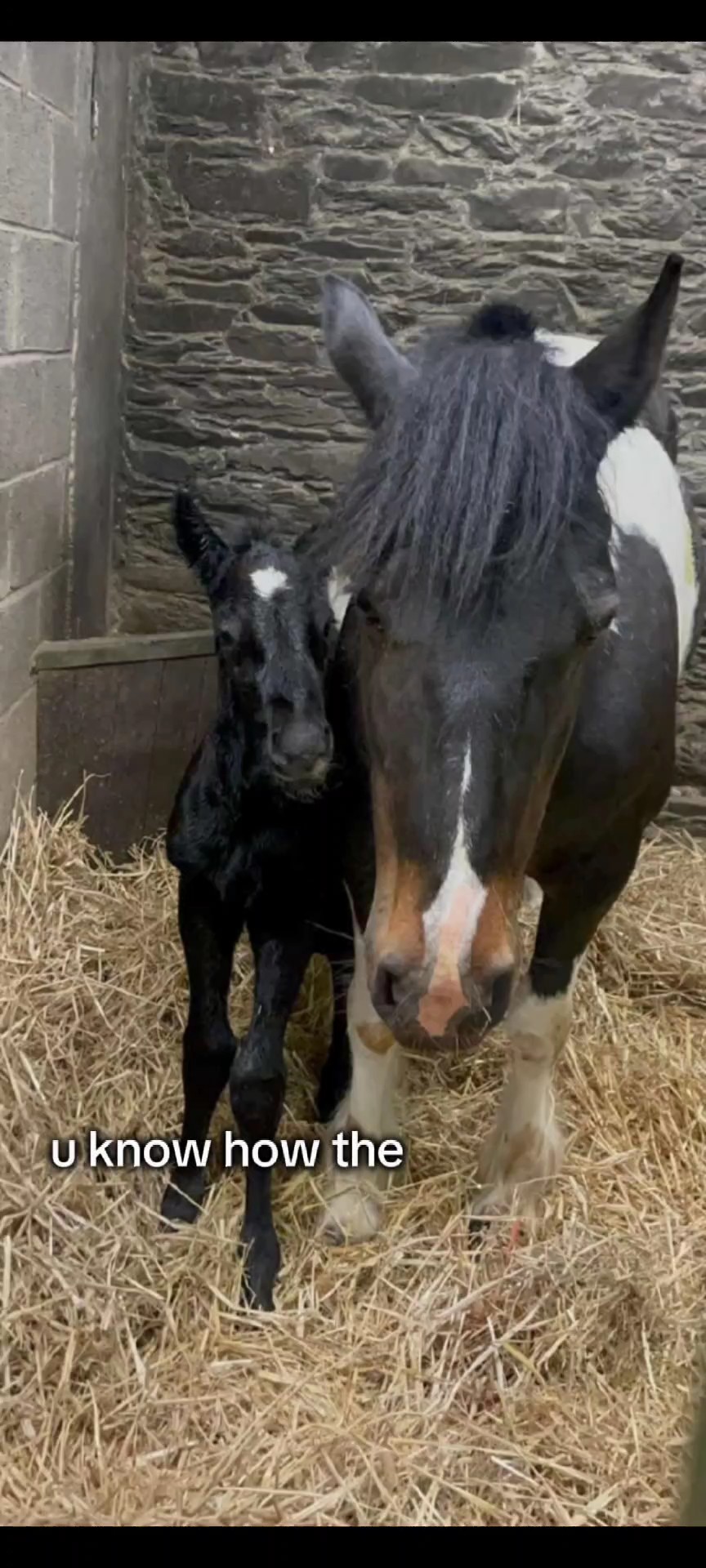 1-2yrs ago vs now :o