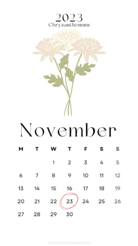 23 November hbd