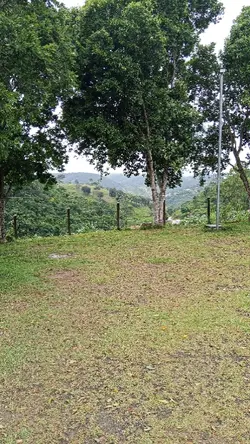 chuva de bençãos 