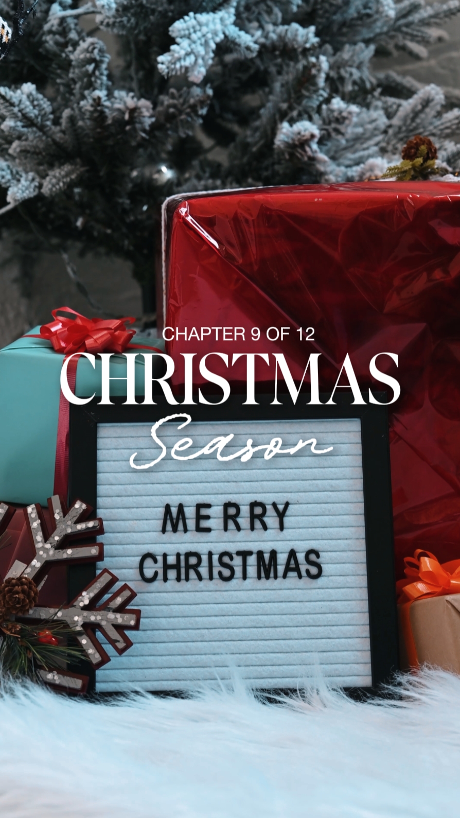 MERRY CHRISTMAS 