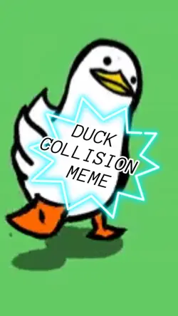 Duck collision 