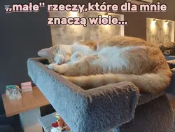 kocham/dziękuję 