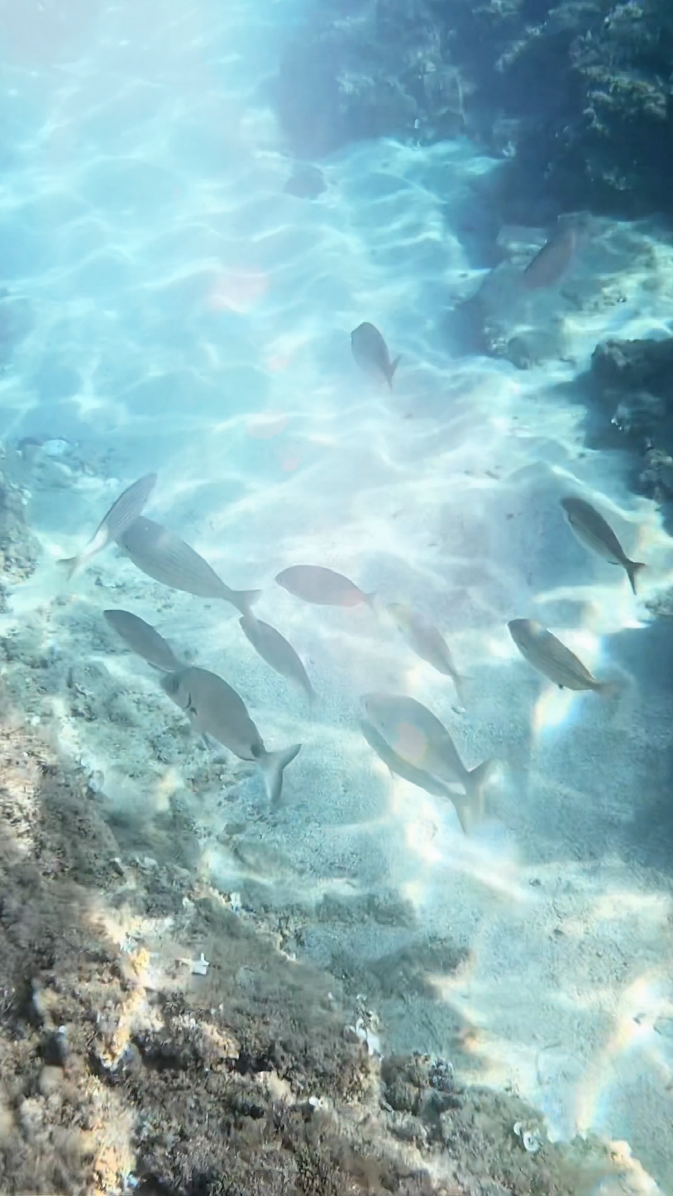 Sous l'eau