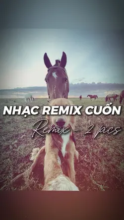 [2] NHẠC REMIX CUỐN