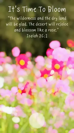 Jesus Bible Verse 