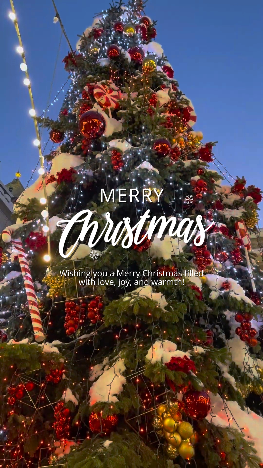natal
