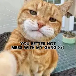dont mess w my gang