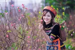 Chợ Tình