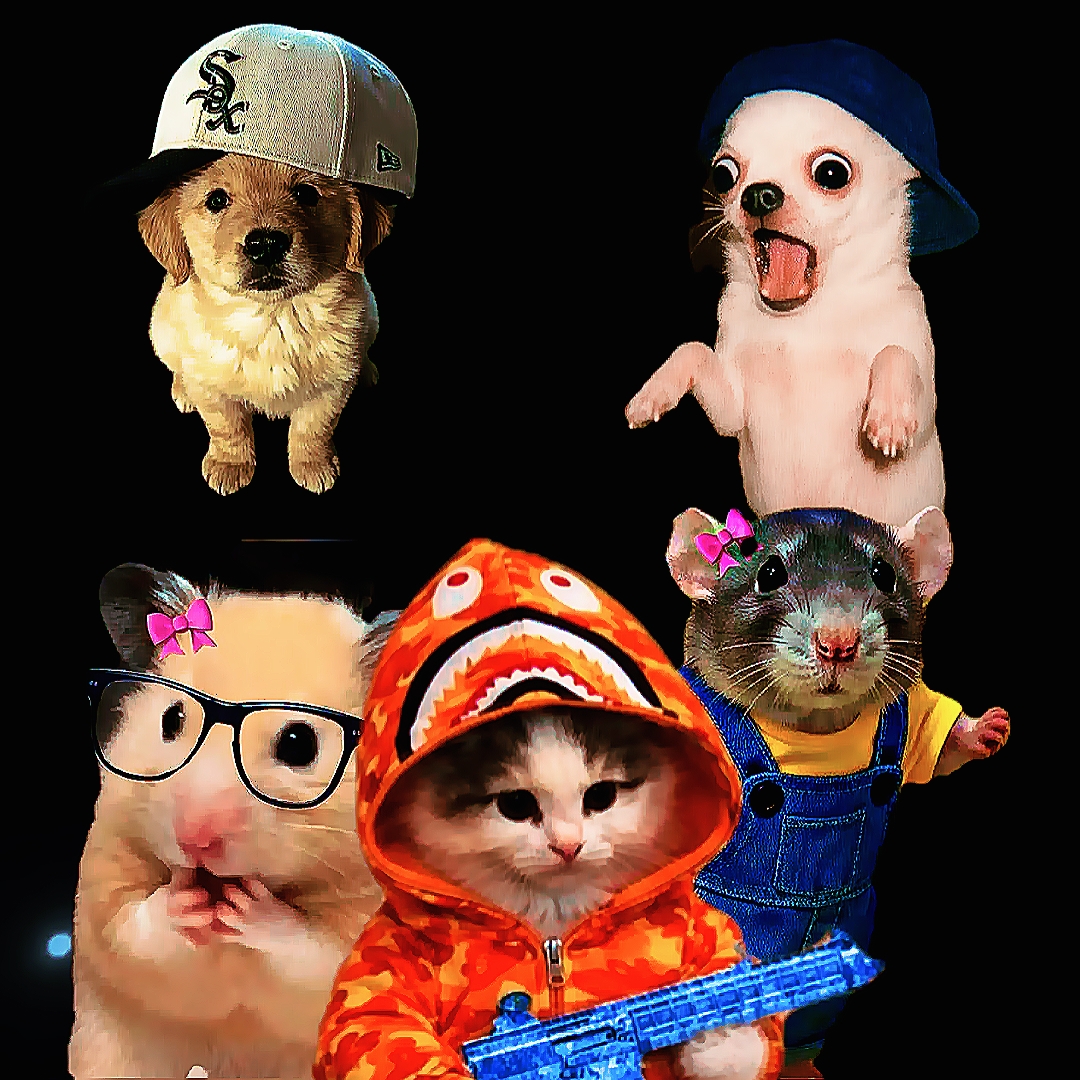 Meow Meow 