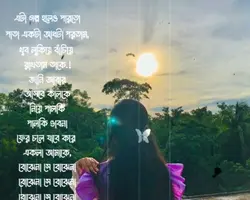 বুজে না সে বুজে না 
