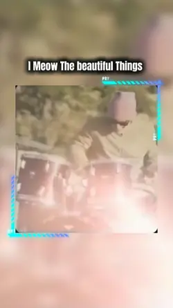 The beautiful things