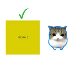 dam dam di di di cat