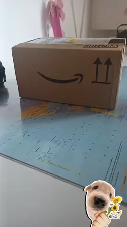 haul amazon