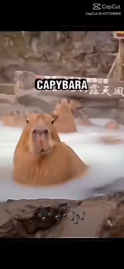 CAPYBARA