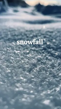 winter 