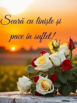 Seară liniștită! 
