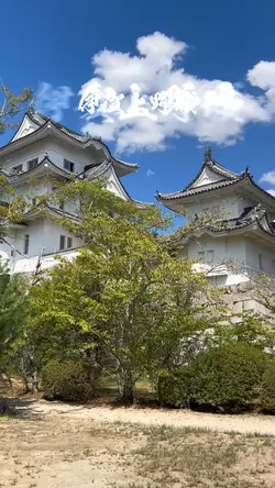 伊賀上野城