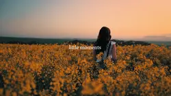 little moments 