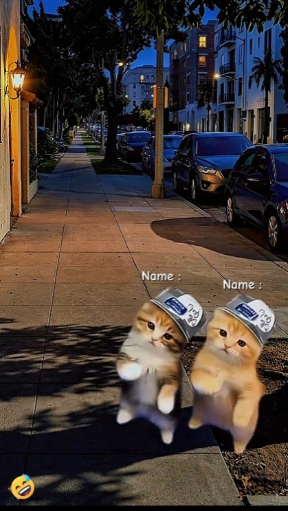 Gato engraçado de dança
