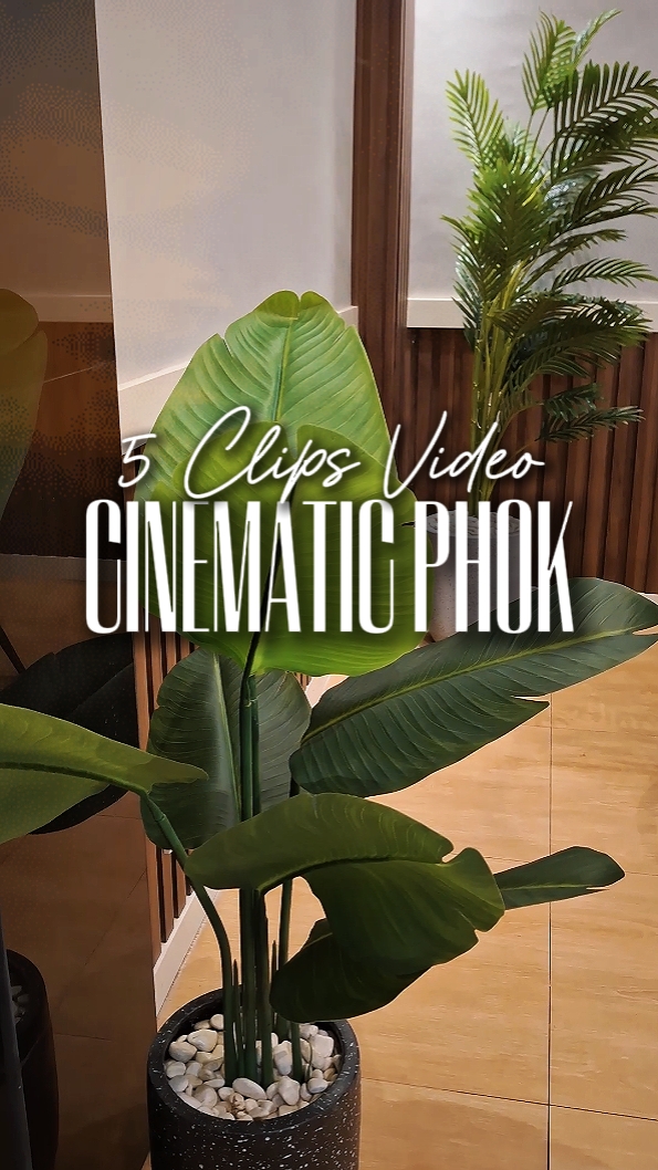 Cinématique Phonk