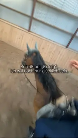 Erfolg < Glücklich