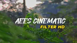 Aees Cinematic