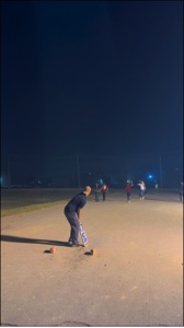 Night Cricket