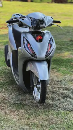 mẫu chỉnh màu