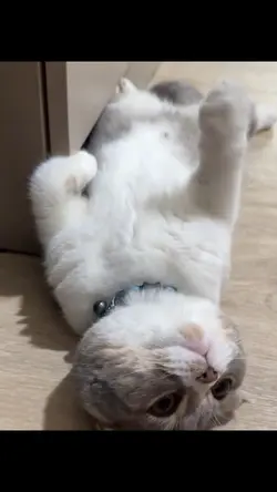 ไลฟ์