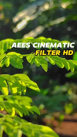 Aees Cinematic