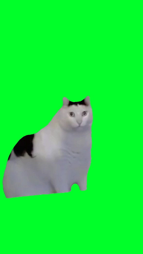 嗯哼猫