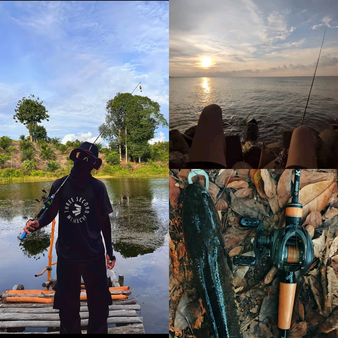 3 photos