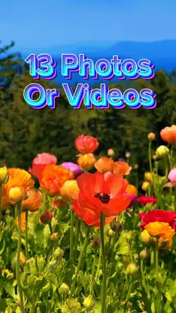 13 Photo Slides