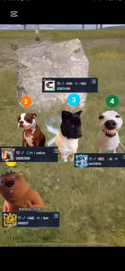 Pubg
