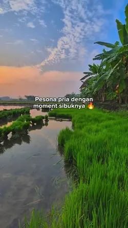 bahan SW 