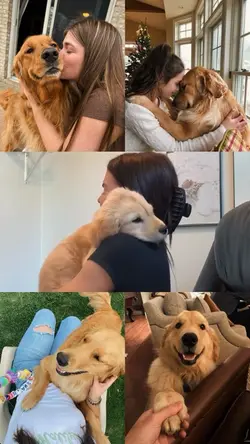 Pets moments 