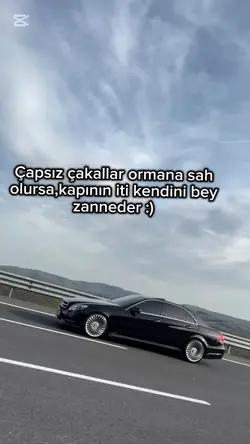 dişa aktar göre var