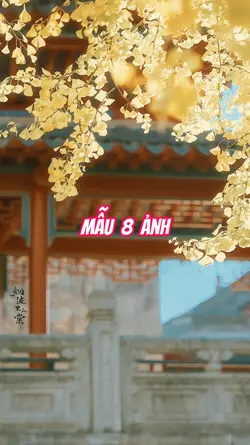 Mẫu 8 Ảnh
