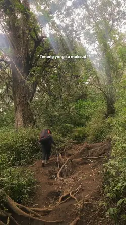 Tenang yang ku 