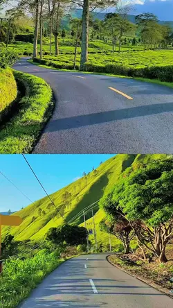 2 video kolase