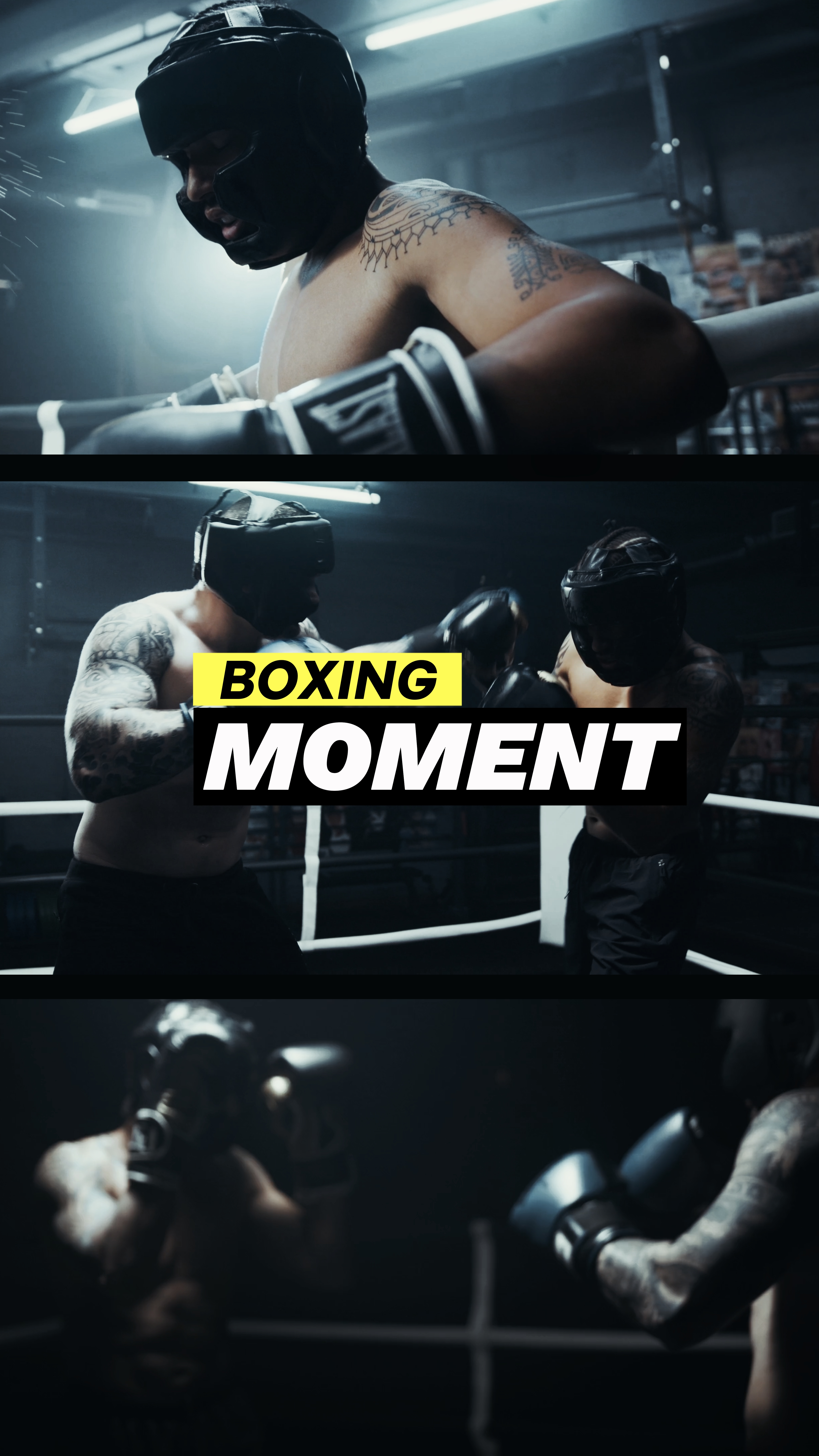 Momento De Boxe 